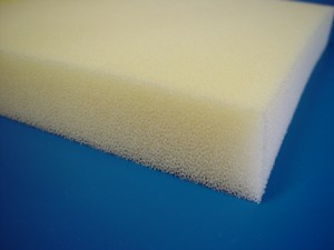 Dryfast Foam Cushion